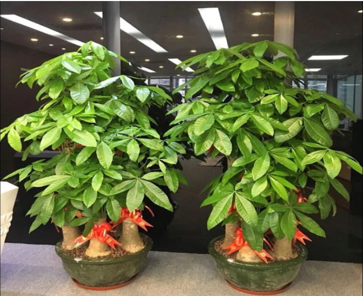 [���ݺ��ҹ���԰��]�����������������������